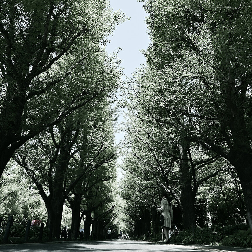 Z fc 16-50mm Lens Kit - Black